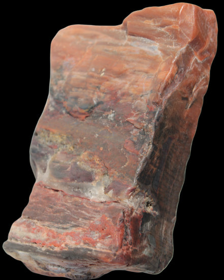 Petrified Wood from Xinjiang, China 224g in sunlight - Rocks and Things Store