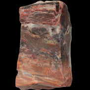 Petrified Wood from Xinjiang, China 224g in sunlight - Rocks and Things Store