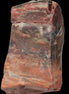 Petrified Wood from Xinjiang, China 224g in sunlight - Rocks and Things Store