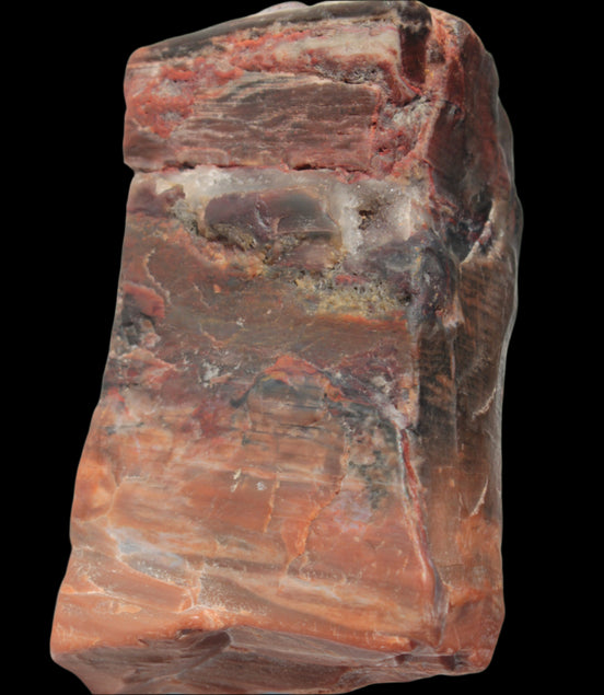 Petrified Wood from Xinjiang, China 224g in sunlight - Rocks and Things Store