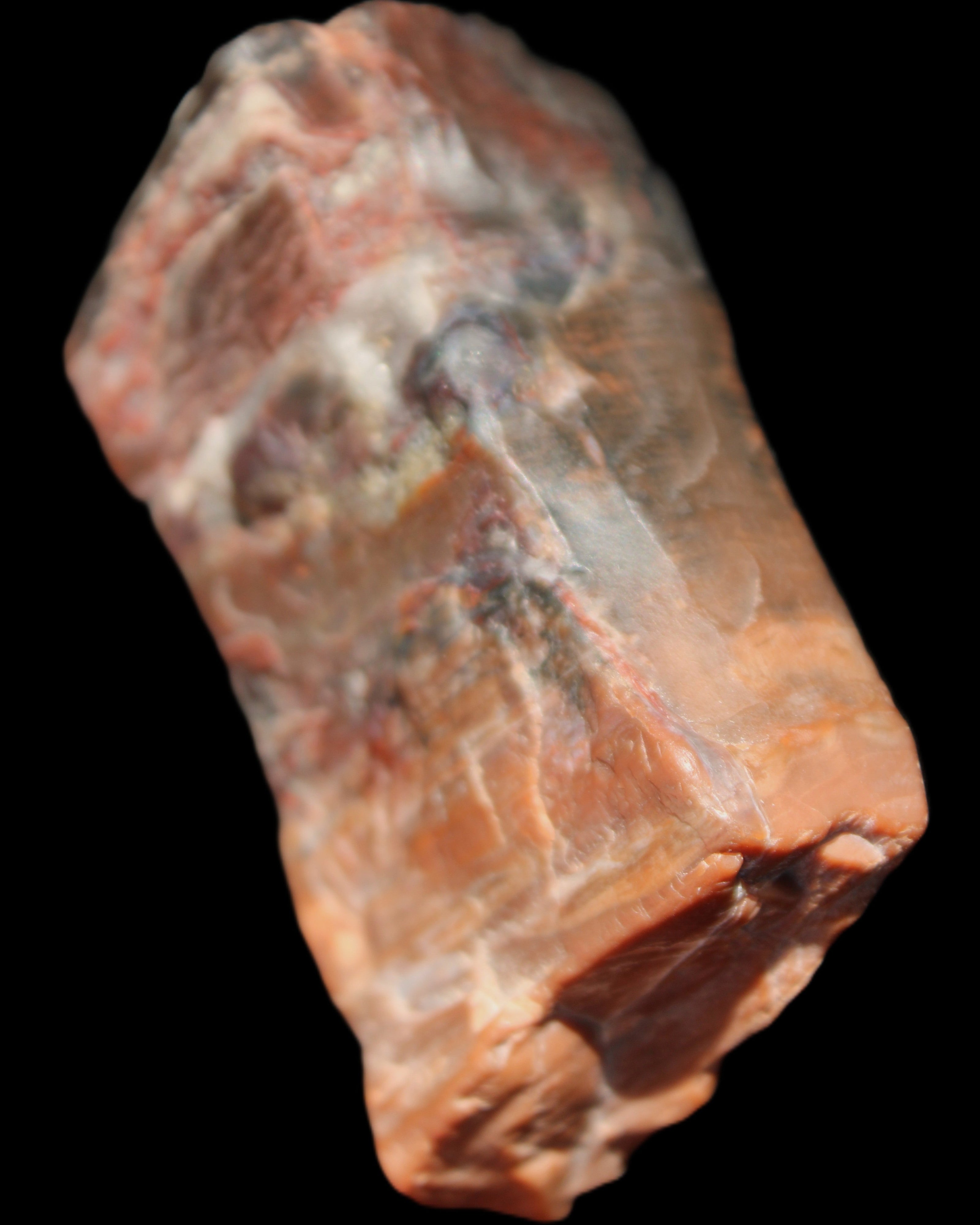 Petrified Wood from Xinjiang, China 224g in sunlight - Rocks and Things Store