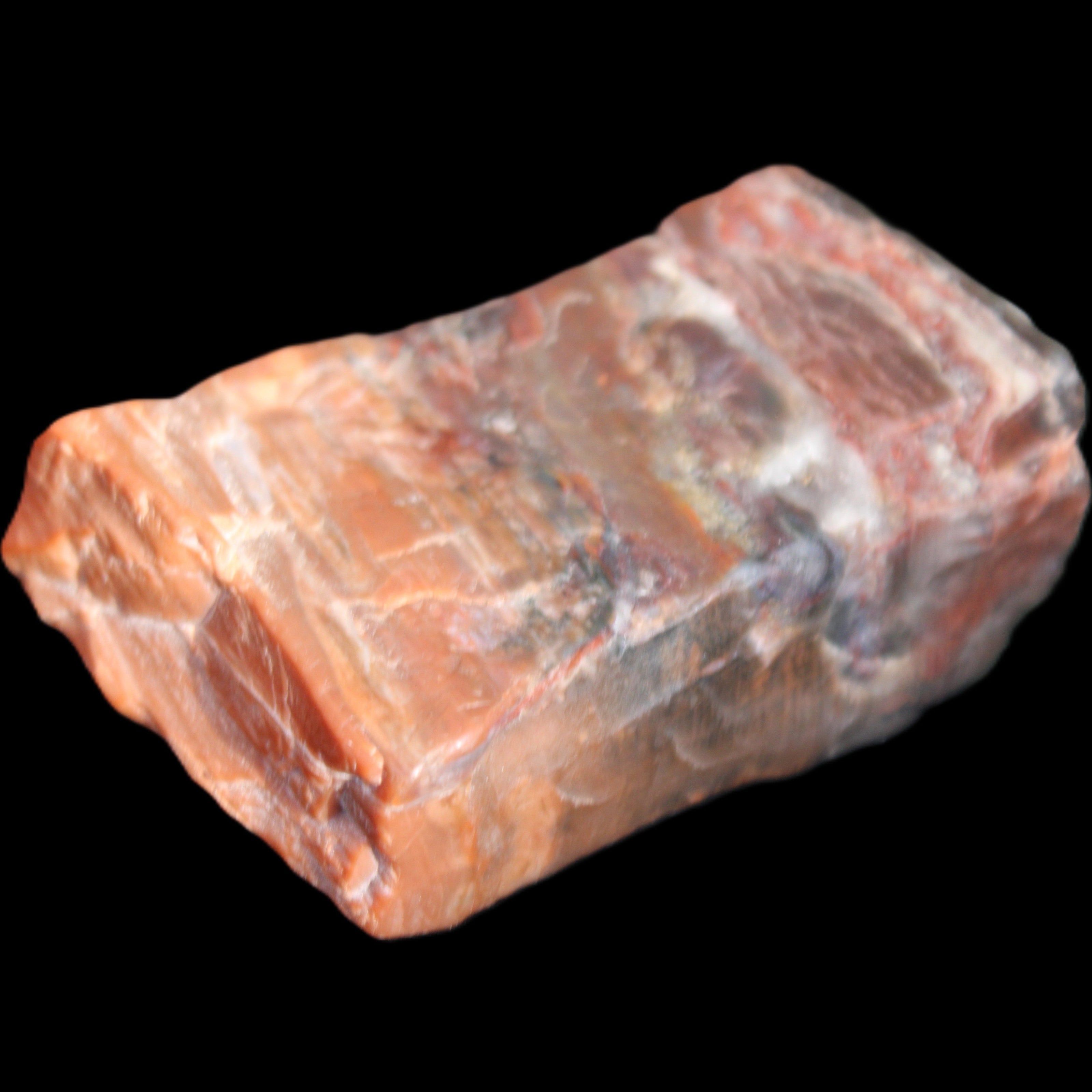 Petrified Wood from Xinjiang, China 224g in sunlight - Rocks and Things Store