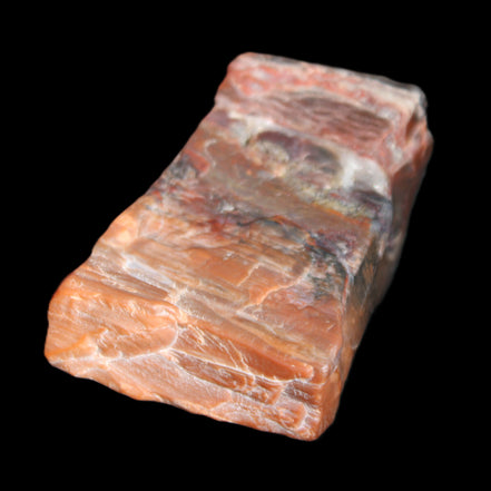 Petrified Wood from Xinjiang, China 224g in sunlight - Rocks and Things Store