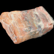 Petrified Wood from Xinjiang, China 224g in sunlight - Rocks and Things Store