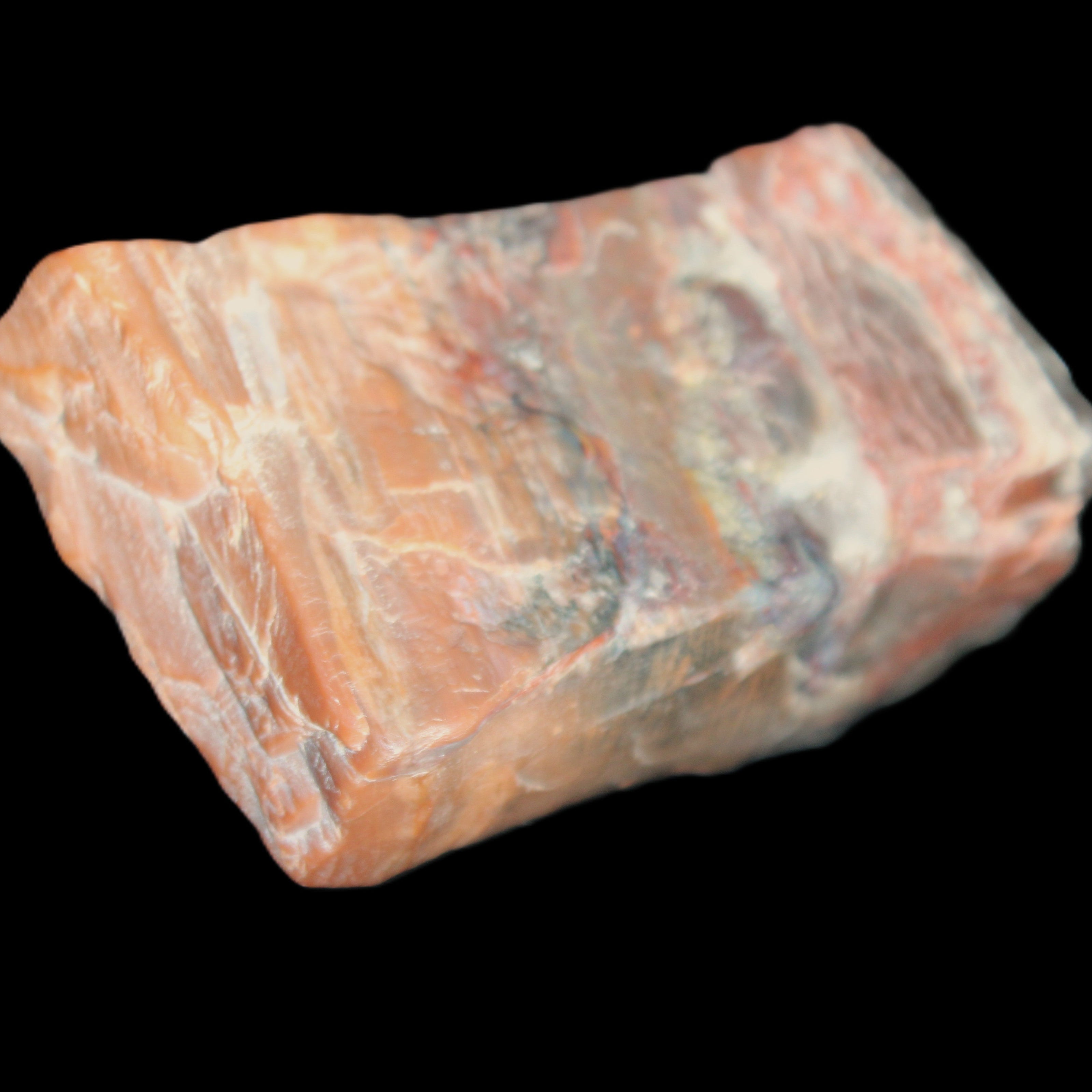 Petrified Wood from Xinjiang, China 224g in sunlight - Rocks and Things Store
