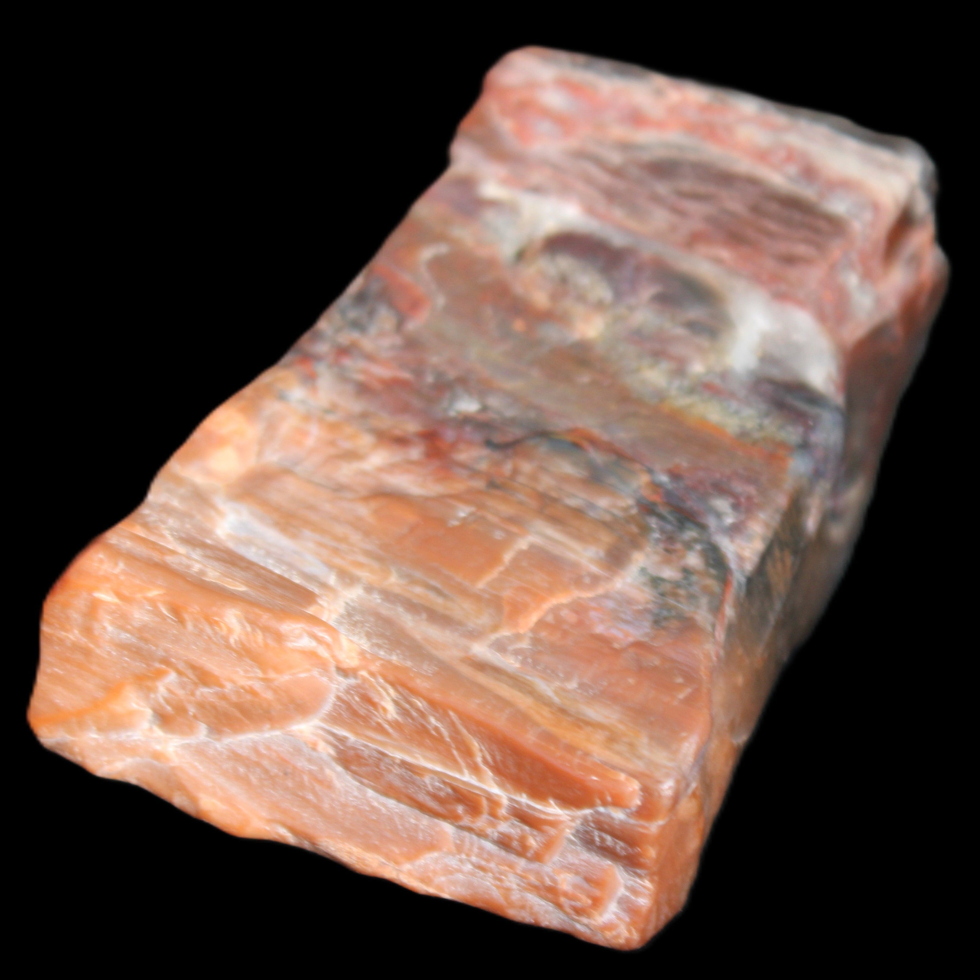 Petrified Wood from Xinjiang, China 224g in sunlight - Rocks and Things Store