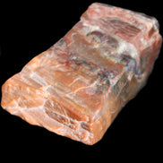 Petrified Wood from Xinjiang, China 224g in sunlight - Rocks and Things Store