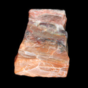 Petrified Wood from Xinjiang, China 224g in sunlight - Rocks and Things Store