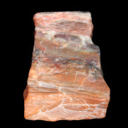 Petrified Wood from Xinjiang, China 224g in sunlight - Rocks and Things Store