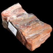Petrified Wood from Xinjiang, China 224g in sunlight - Rocks and Things Store