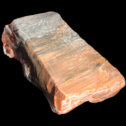 Petrified Wood from Xinjiang, China 224g in sunlight - Rocks and Things Store