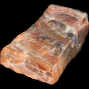 Petrified Wood from Xinjiang, China 224g in sunlight - Rocks and Things Store
