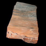 Petrified Wood from Xinjiang, China 224g in sunlight - Rocks and Things Store