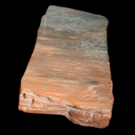 Petrified Wood from Xinjiang, China 224g in sunlight - Rocks and Things Store