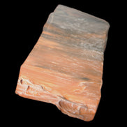 Petrified Wood from Xinjiang, China 224g in sunlight - Rocks and Things Store