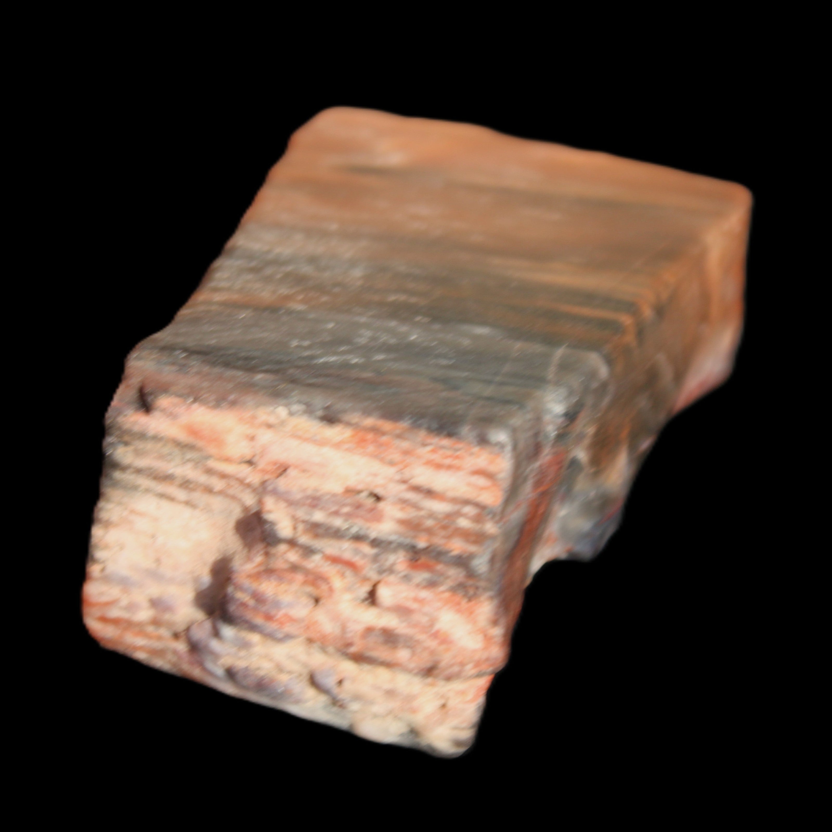 Petrified Wood from Xinjiang, China 224g in sunlight - Rocks and Things Store