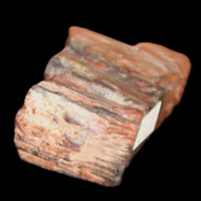 Petrified Wood from Xinjiang, China 224g in sunlight - Rocks and Things Store