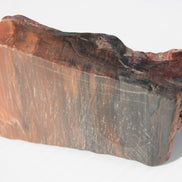 Petrified Wood from Xinjiang China 224g Rocks and Things