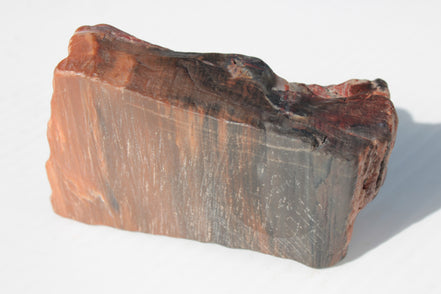 Petrified Wood from Xinjiang China 224g Rocks and Things