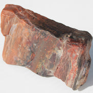 Petrified Wood from Xinjiang China 224g Rocks and Things