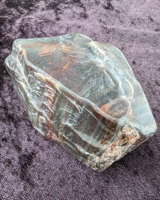 Petrified Wood from Xinjiang China 207g Rocks and Things