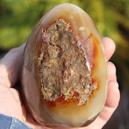 Chocolate Agate crystal cave geode 498g