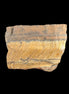 Tigers Eye natural  rough 111g in sunlight - Rocks and Things Store