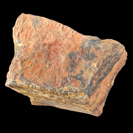 Tigers Eye natural  rough 111g in sunlight - Rocks and Things Store