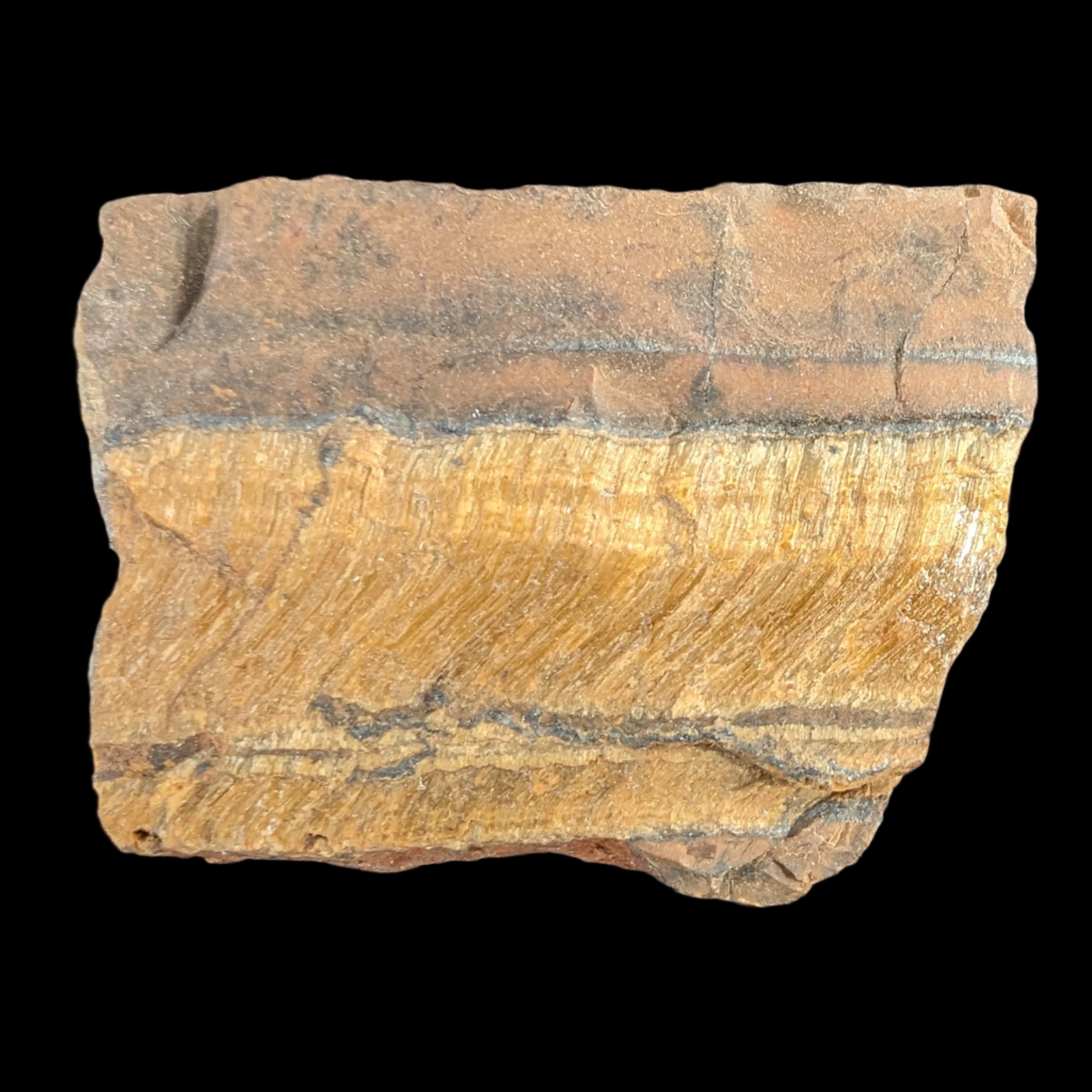Tigers Eye natural  rough 111g in sunlight - Rocks and Things Store