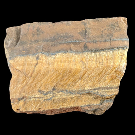 Tigers Eye natural  rough 111g in sunlight - Rocks and Things Store