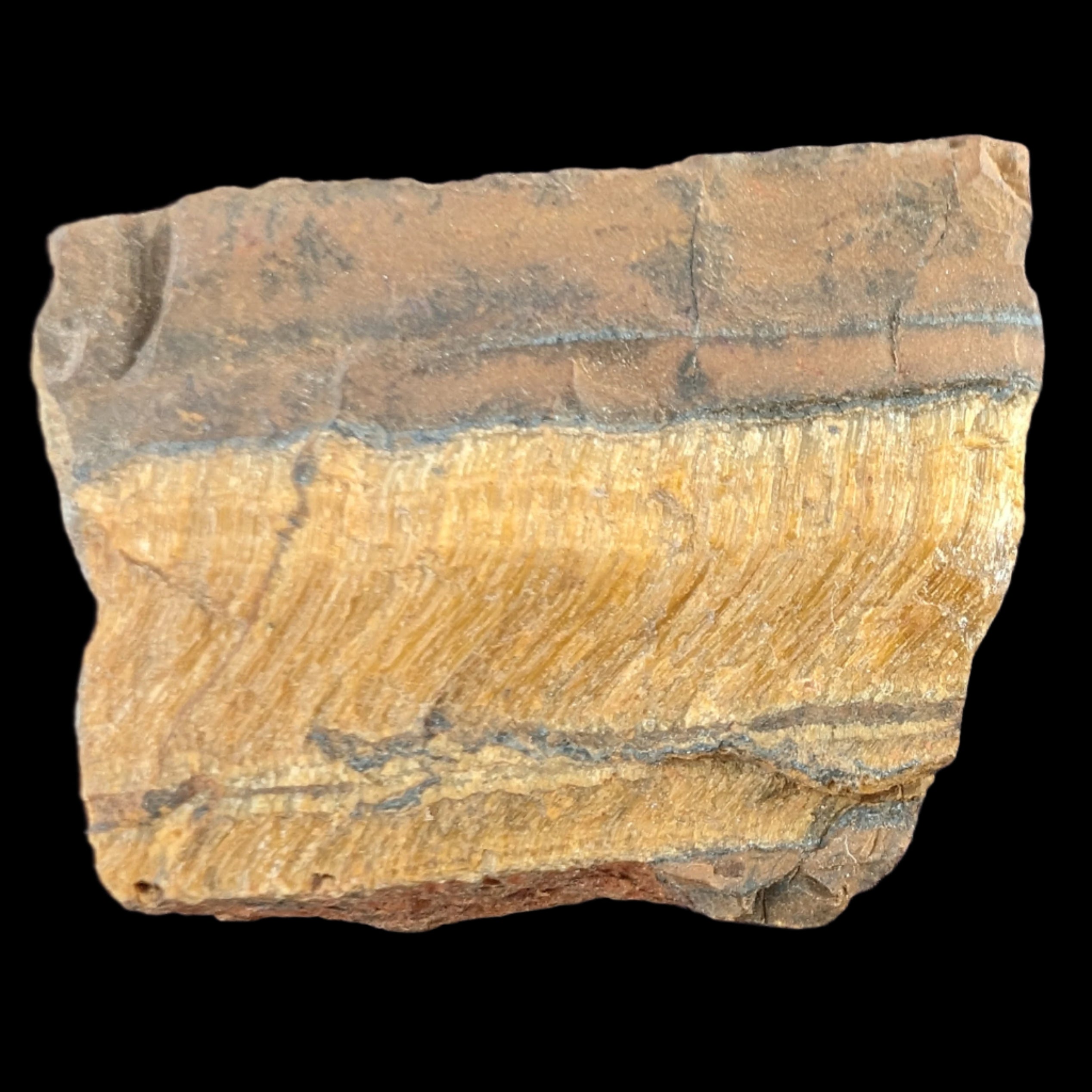 Tigers Eye natural  rough 111g in sunlight - Rocks and Things Store