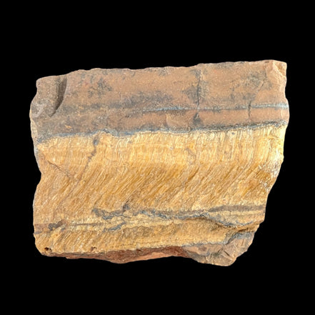 Tigers Eye natural  rough 111g in sunlight - Rocks and Things Store