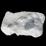 Calcite cluster 1345g Rocks and Things