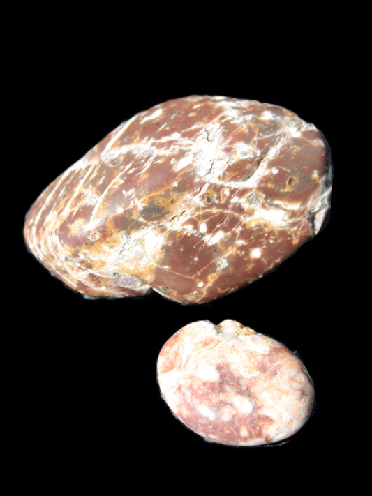 Reedy Creek 2 stones Brown Jasper 37g Rocks and Things