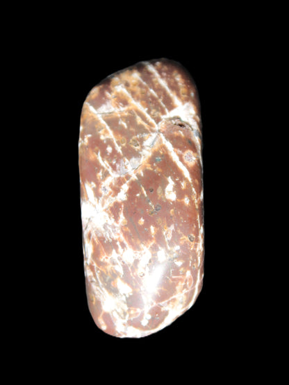 Reedy Creek 2 stones Brown Jasper 37g Rocks and Things