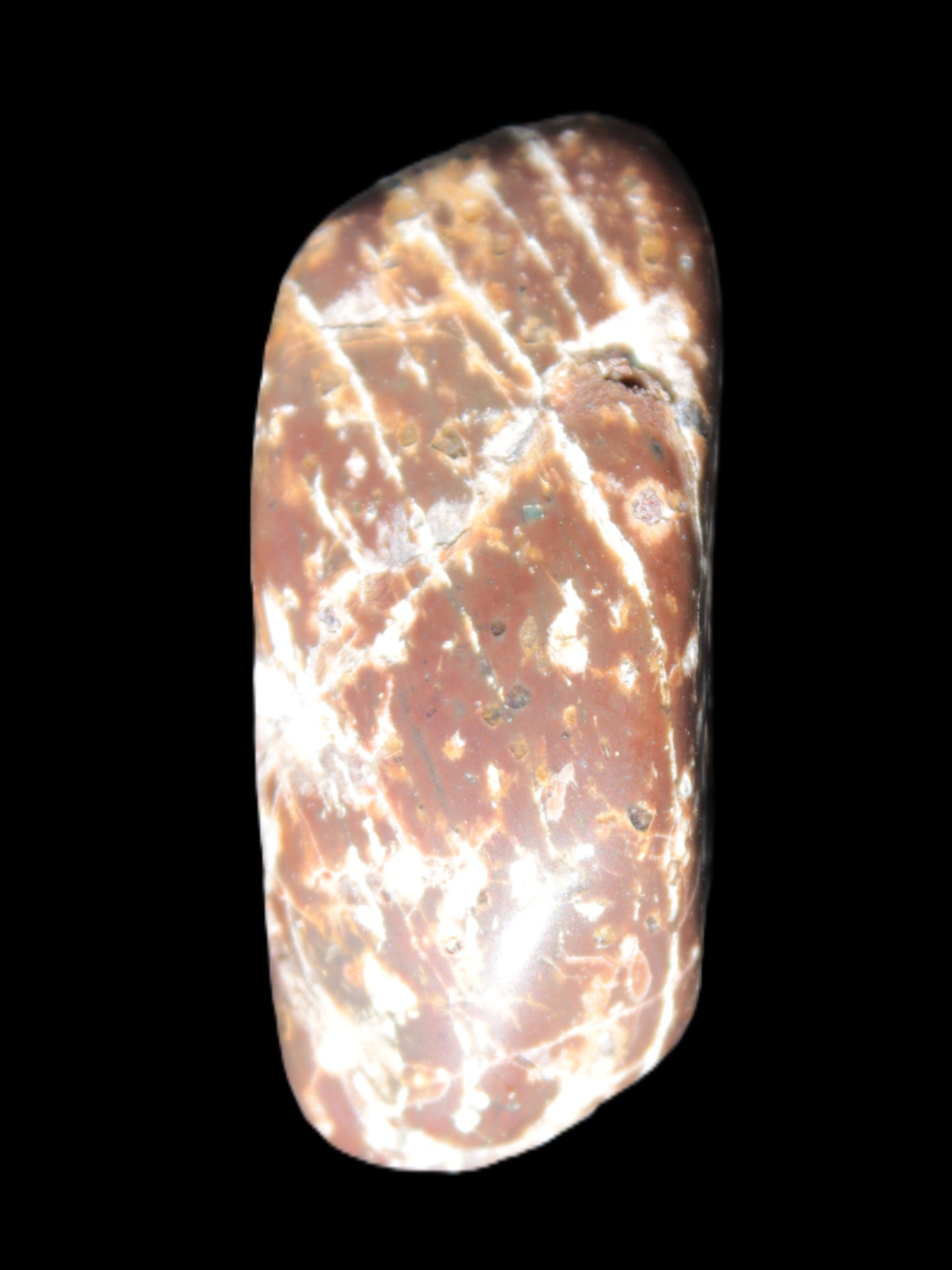 Reedy Creek 2 stones Brown Jasper 37g Rocks and Things