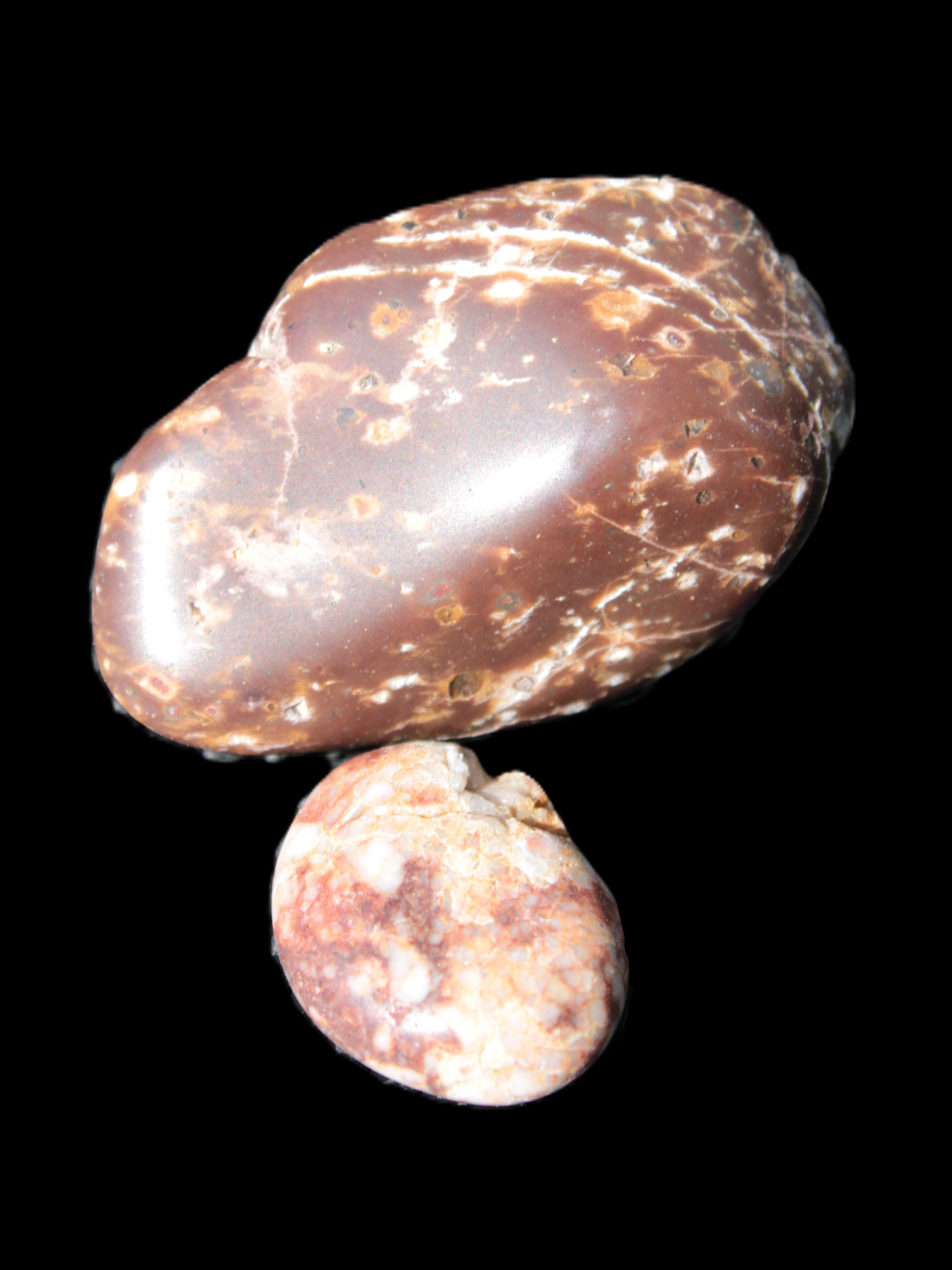 Reedy Creek 2 stones Brown Jasper 37g Rocks and Things