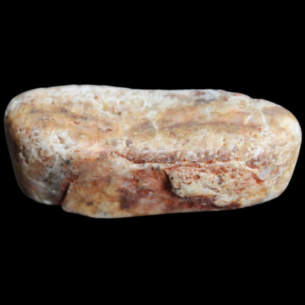 Reedy Creek Jasper 77g - Rocks and Things Store