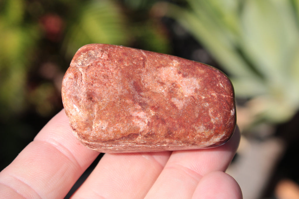 Reedy Creek Red Jasper 55g Rocks and Things