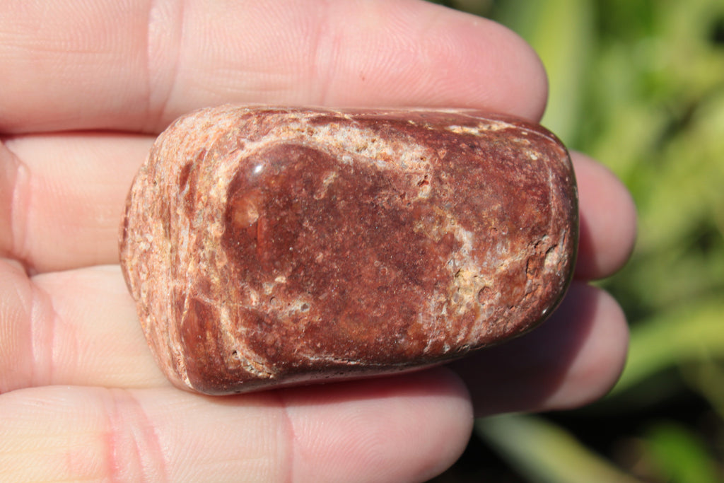 Reedy Creek Red Jasper 55g Rocks and Things