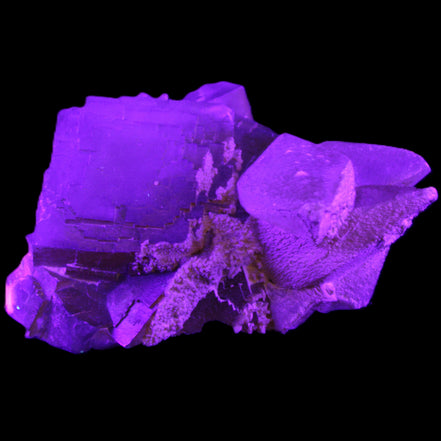Clear Yellow Fluorite with 45mm dog-tooth Calcite 98*76*55mm 286g in UV light - Rocks and Things Store
