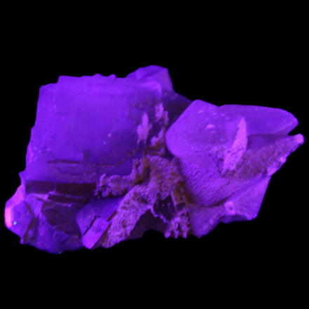 Clear Yellow Fluorite with 45mm dog-tooth Calcite 98*76*55mm 286g in UV light - Rocks and Things Store
