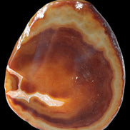 Agate banded slice 472g Rocks and Things
