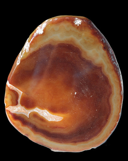 Agate banded slice 472g Rocks and Things