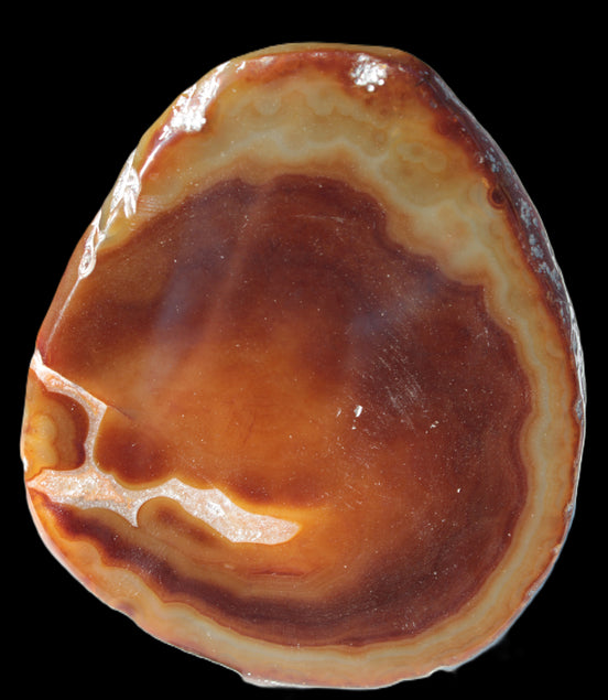Agate banded slice 472g Rocks and Things