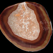 Agate banded slice 472g Rocks and Things