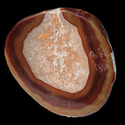 Agate banded slice 472g Rocks and Things
