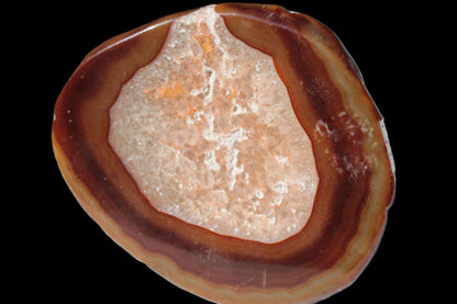 Agate banded slice 472g Rocks and Things