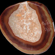 Agate banded slice 472g Rocks and Things