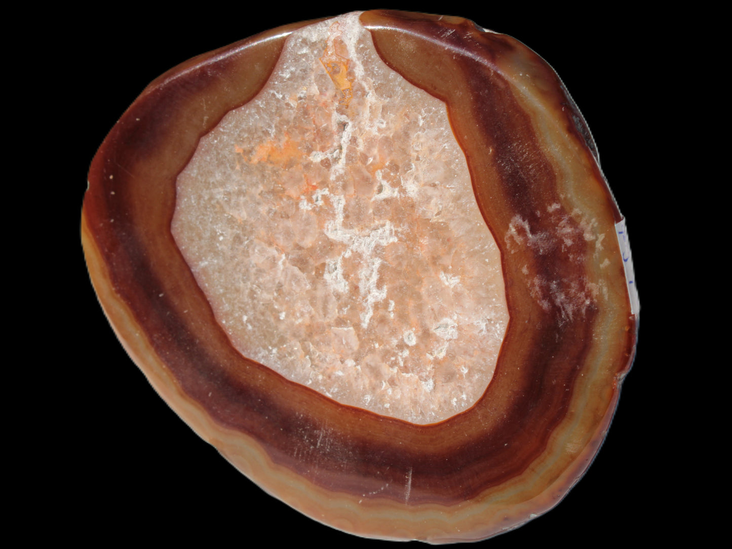 Agate banded slice 472g Rocks and Things